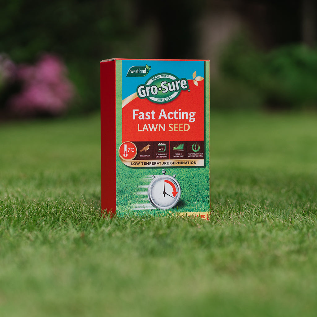 Fast Acting Lawn Seed - Fast-germinating, Hard-wearing Blend | 1 x 30sqm