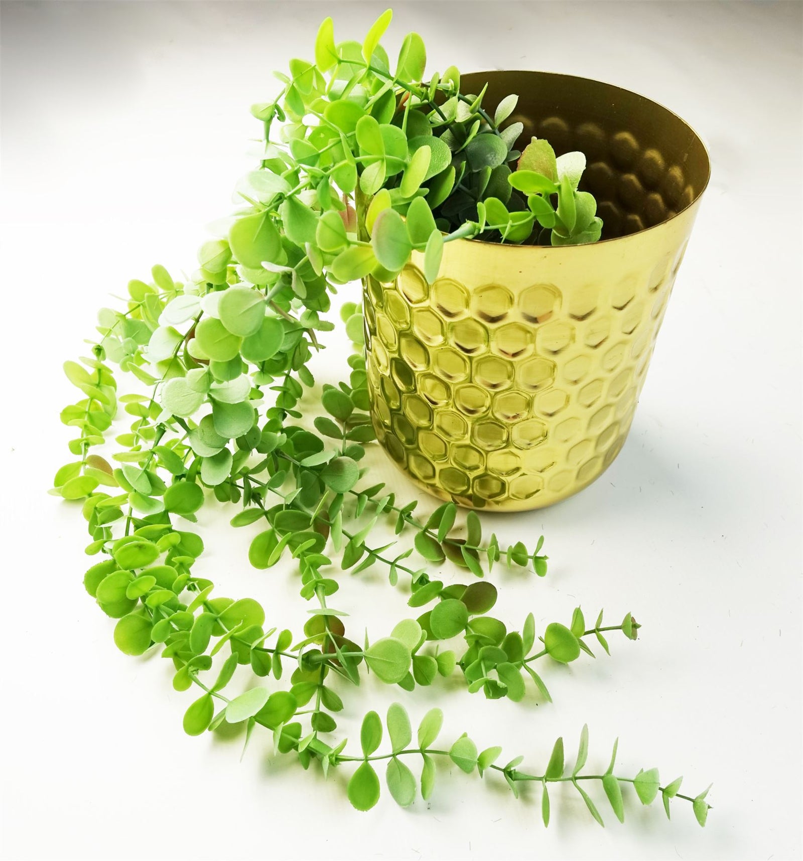 6 X 80cm Artificial Hanging Trailing Eucalyptus Plant