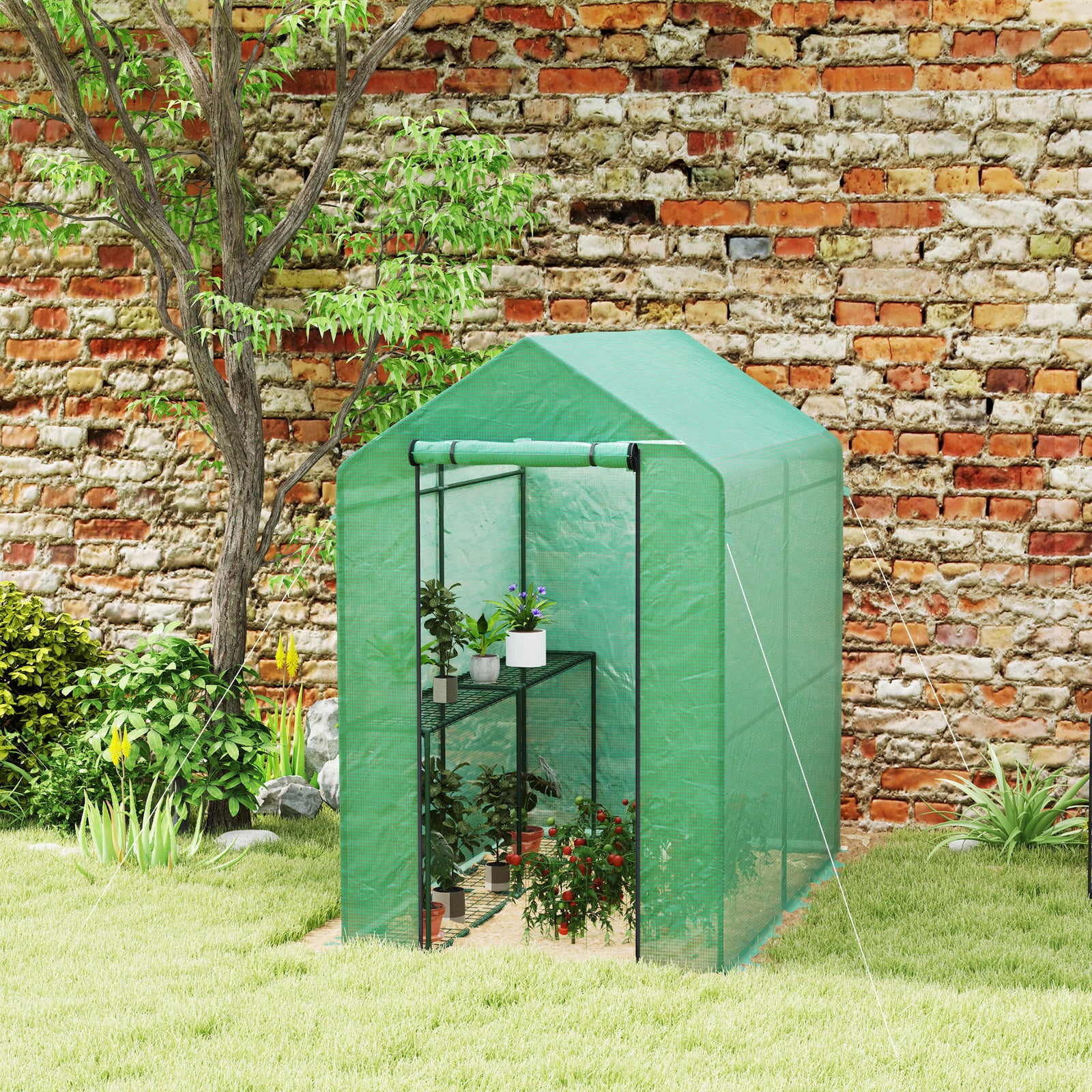 Walk In Greenhouse W/shelves Steeple Grow House