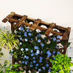 Wooden Planter W/ Trellis And Drainage Holes | Brown
