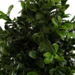 Leaf 120cm Spiral Boxwood Artificial Tree Uv Resistant Outdoor