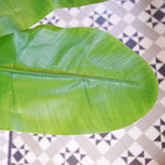 Artificial 180cm Banana Plant Tropical Natural Tree