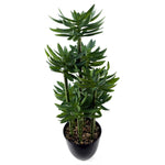 60cm Artificial Tropical Yukka In Planter