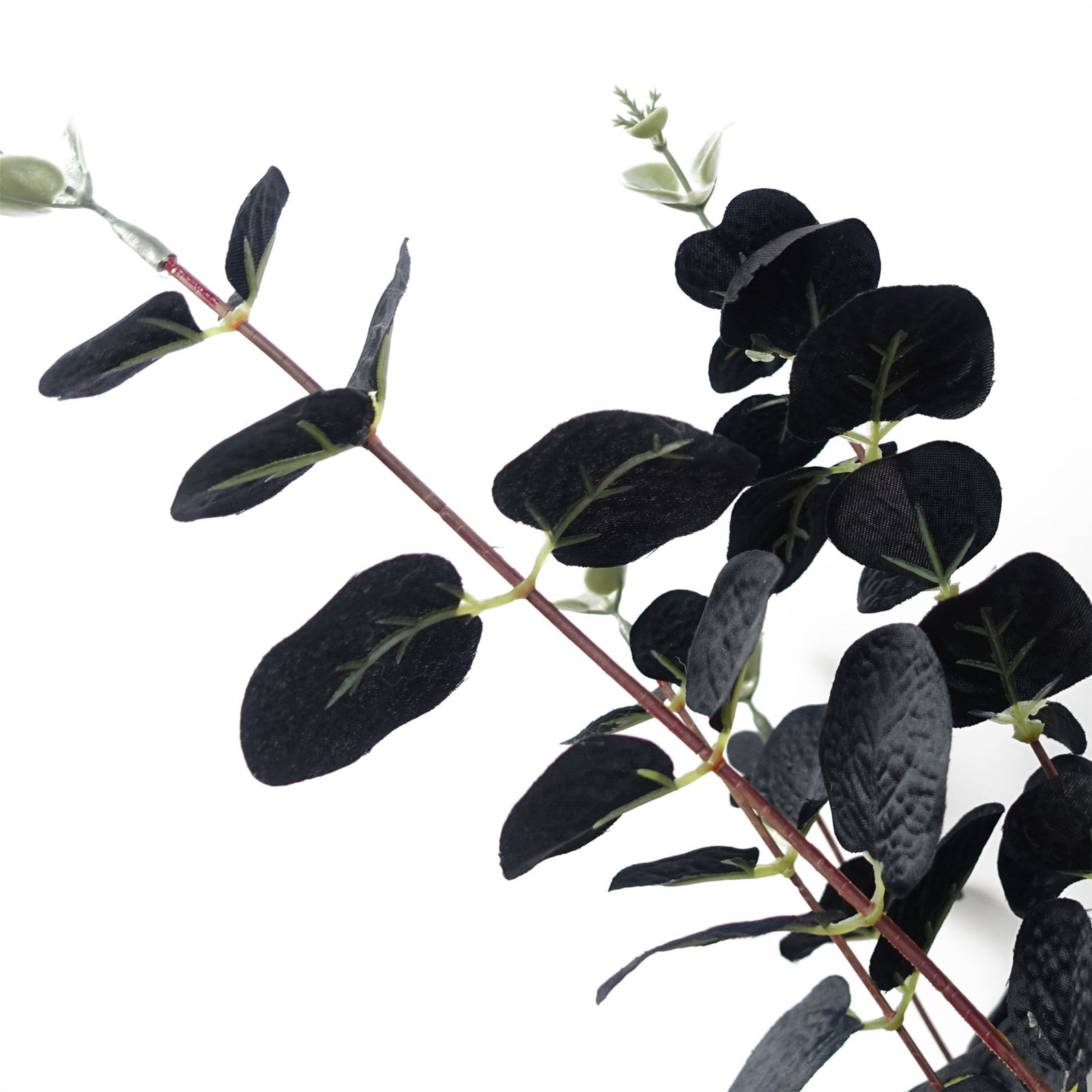 6 X 80cm Black Eucalyptus Foliage Stem