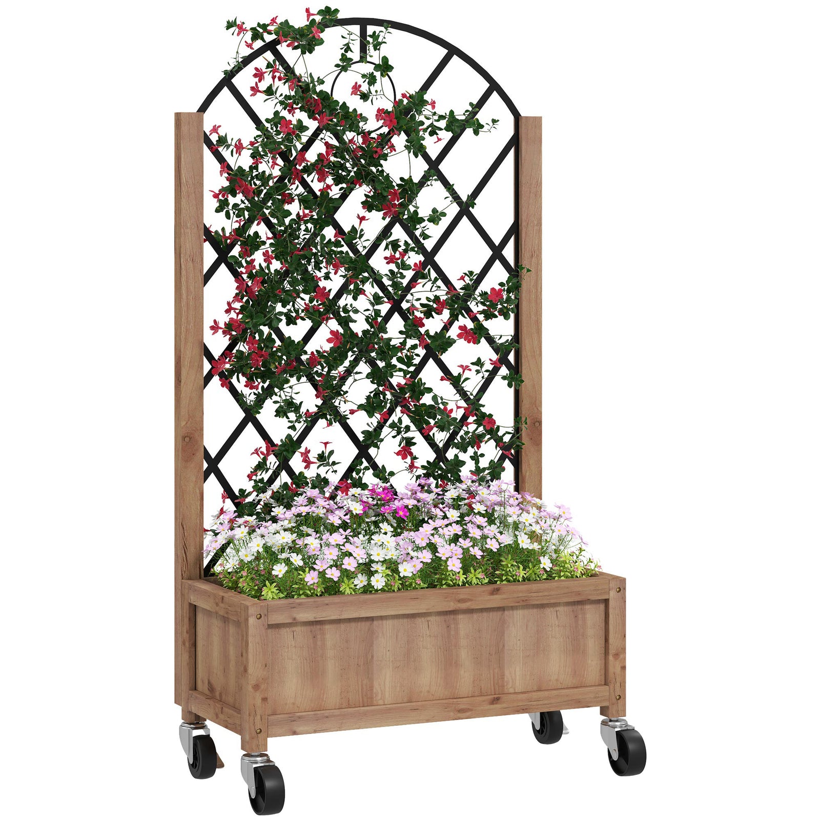 Raised Garden Bed With Metal Trellis