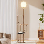 2-in-1 Cat Climbing Frame Floor Lamp
