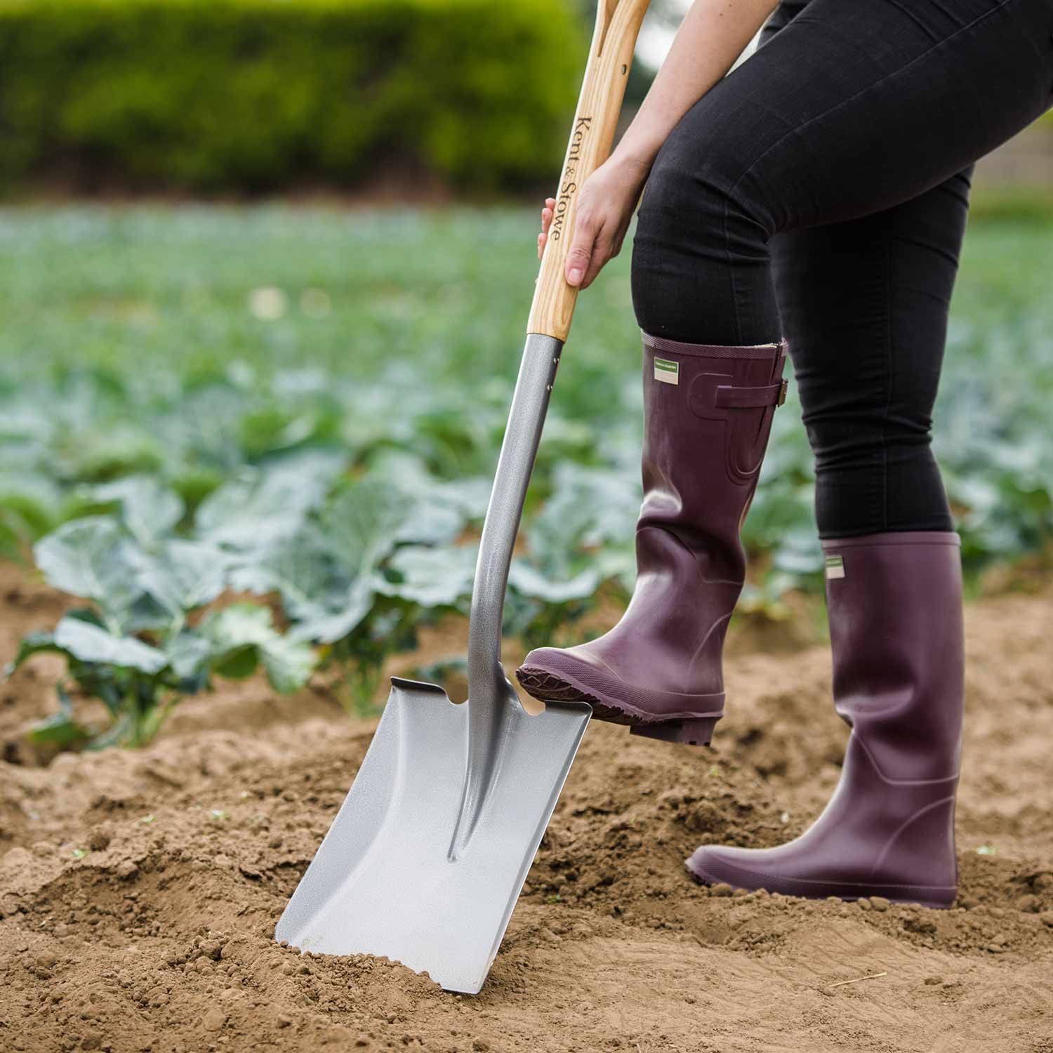 Carbon Steel Square Mouth Shovel Ash Handle | Medium/Large