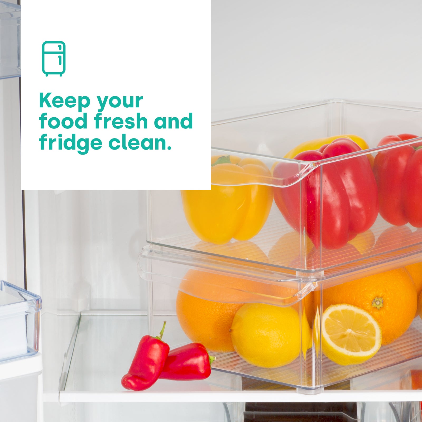 Fridge Storage Container - L