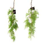 Artificial 100cm Hanging Maidenhair Fern Plant Dark Green