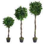 Pair Of 120cm Twisted Stem Artificial Topiary Bay Laurel Ball Trees