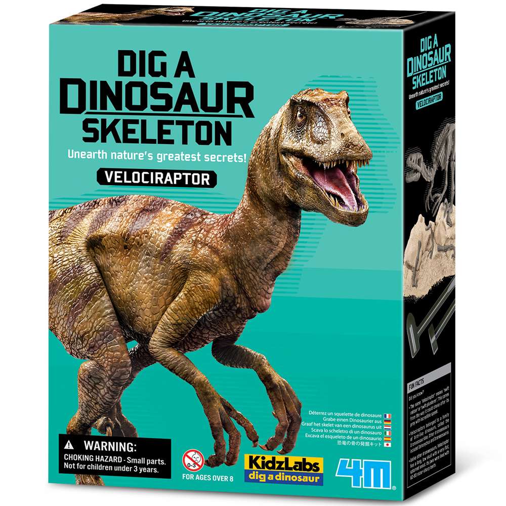 Kidzlabs - Dig A Dinosaur Skeleton - Velociraptor