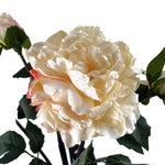 6 X 60cm Peony Artificial Flower Cream 6 Flowers 18 Buds