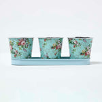 HOMESCAPES Set Of 3 Herb Pots With Tray, Rose Print