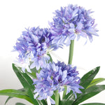 Premium Artificial Agapanthus With Pot Blue 90cm