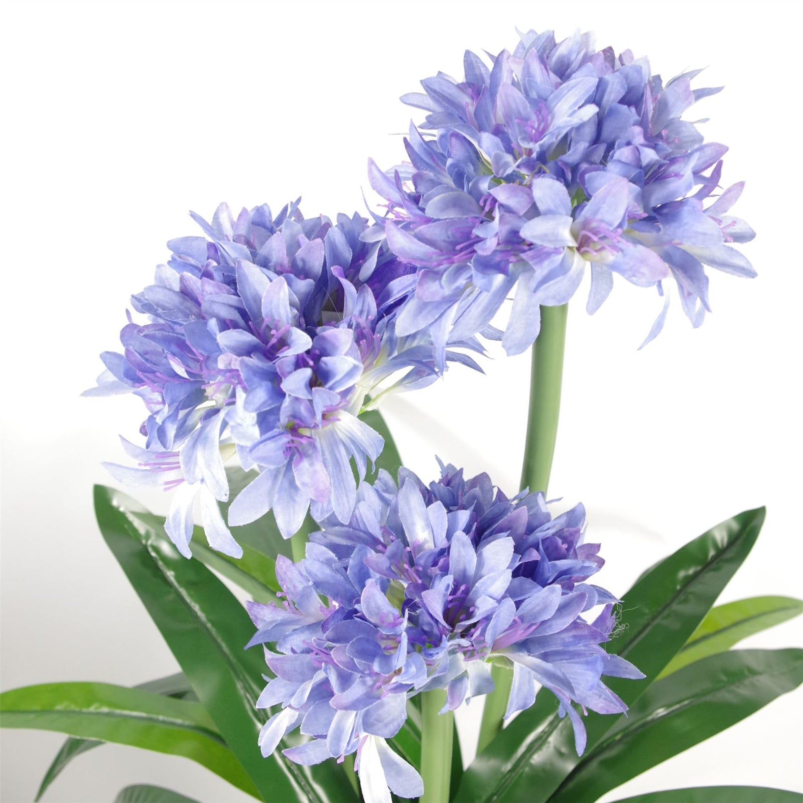 Premium Artificial Agapanthus With Pot Blue 90cm