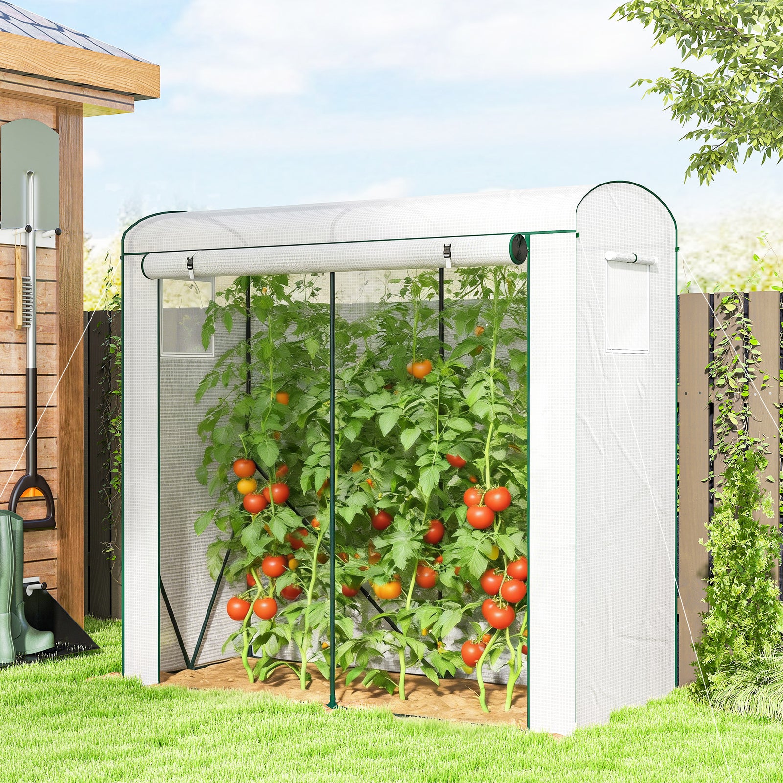 Mini Greenhouse, Portable Indoor Outdoor Green House With Pe Cover | White