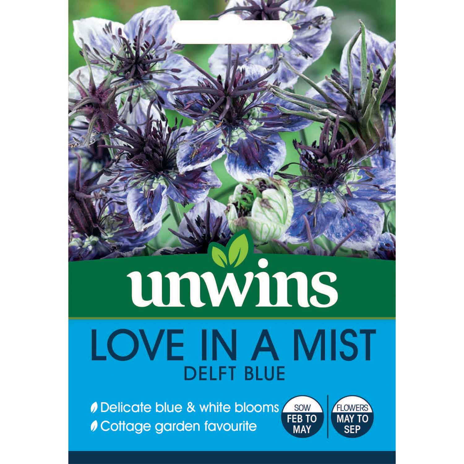 Love-in-a-mist (nigella) 'delft Blue' Seeds | 250 Seeds