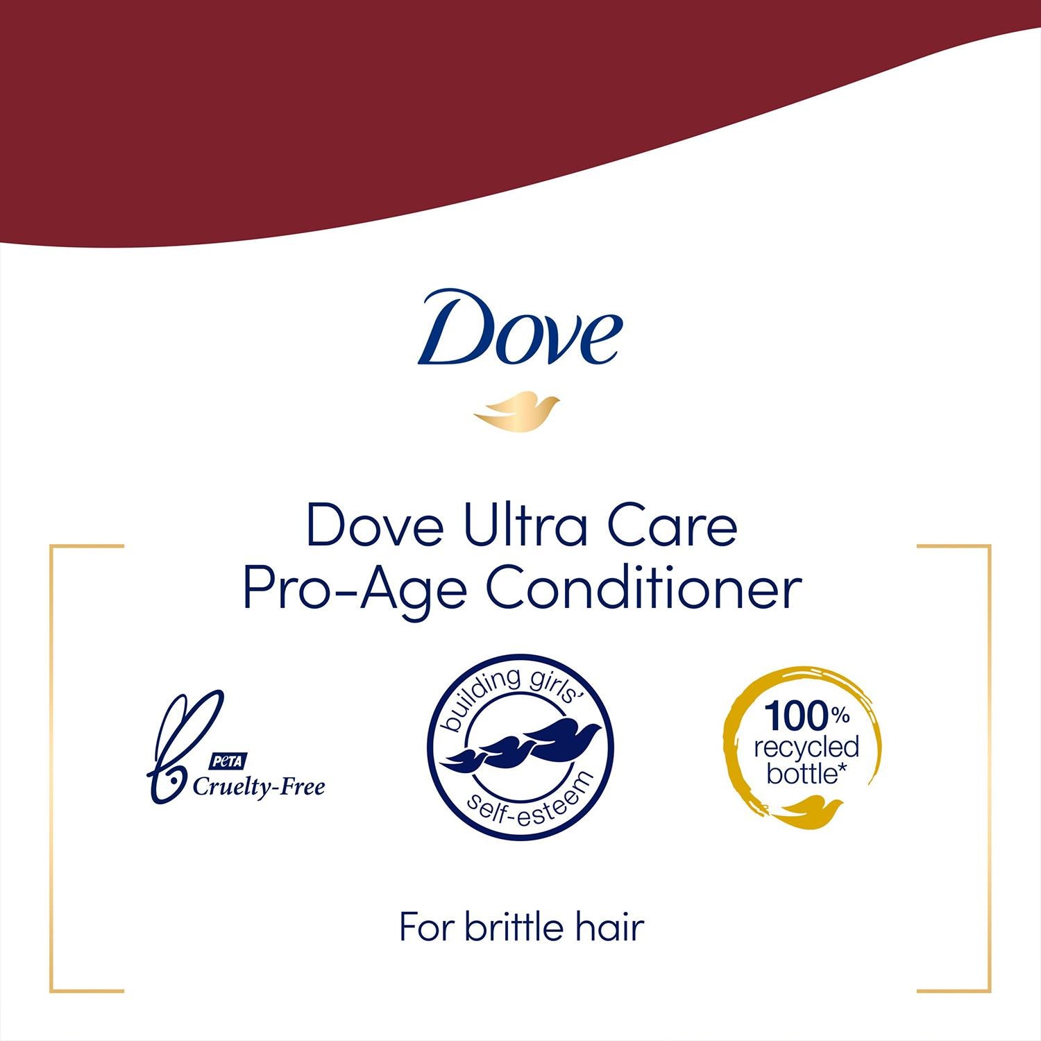 Nourishing Conditioner Pro-age For Brittle & Damaged Hair, 350ml