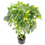 70cm Twisted Stem Gold Capella Arboricola Artificial Plant Bonsai Bush