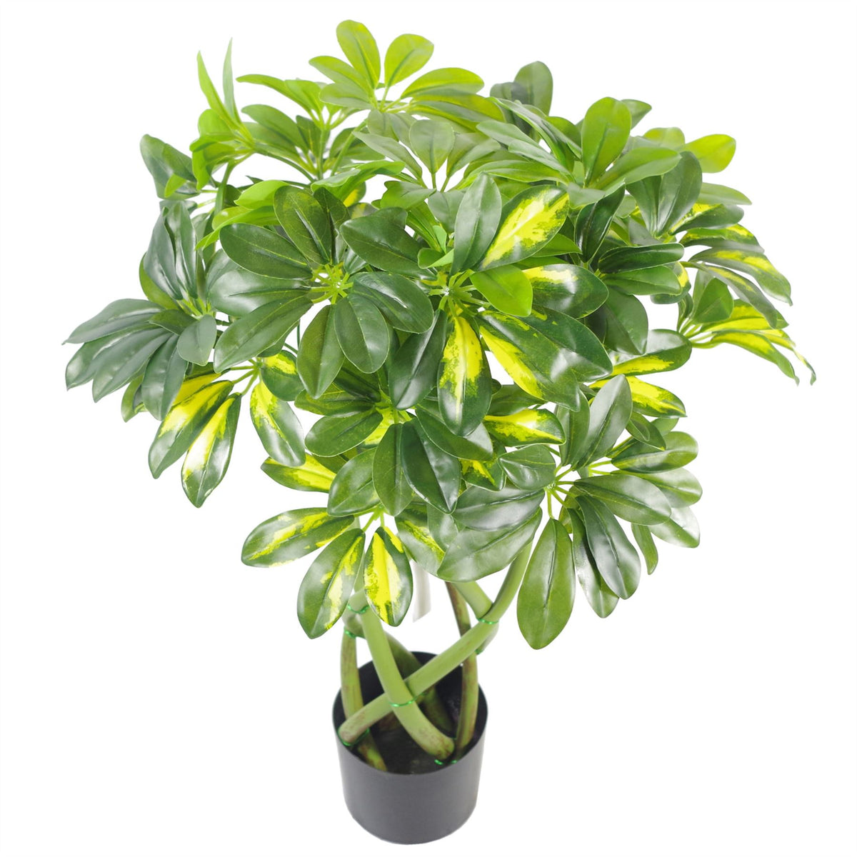 70cm Twisted Stem Gold Capella Arboricola Artificial Plant Bonsai Bush