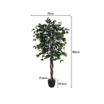 180cm Tall Artificial Banyan Tree In Planter Decorative Faux Plant For Home And Office