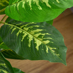 Artificial Evergreen Tree Fake Plant In Pot Decor | Small | Green