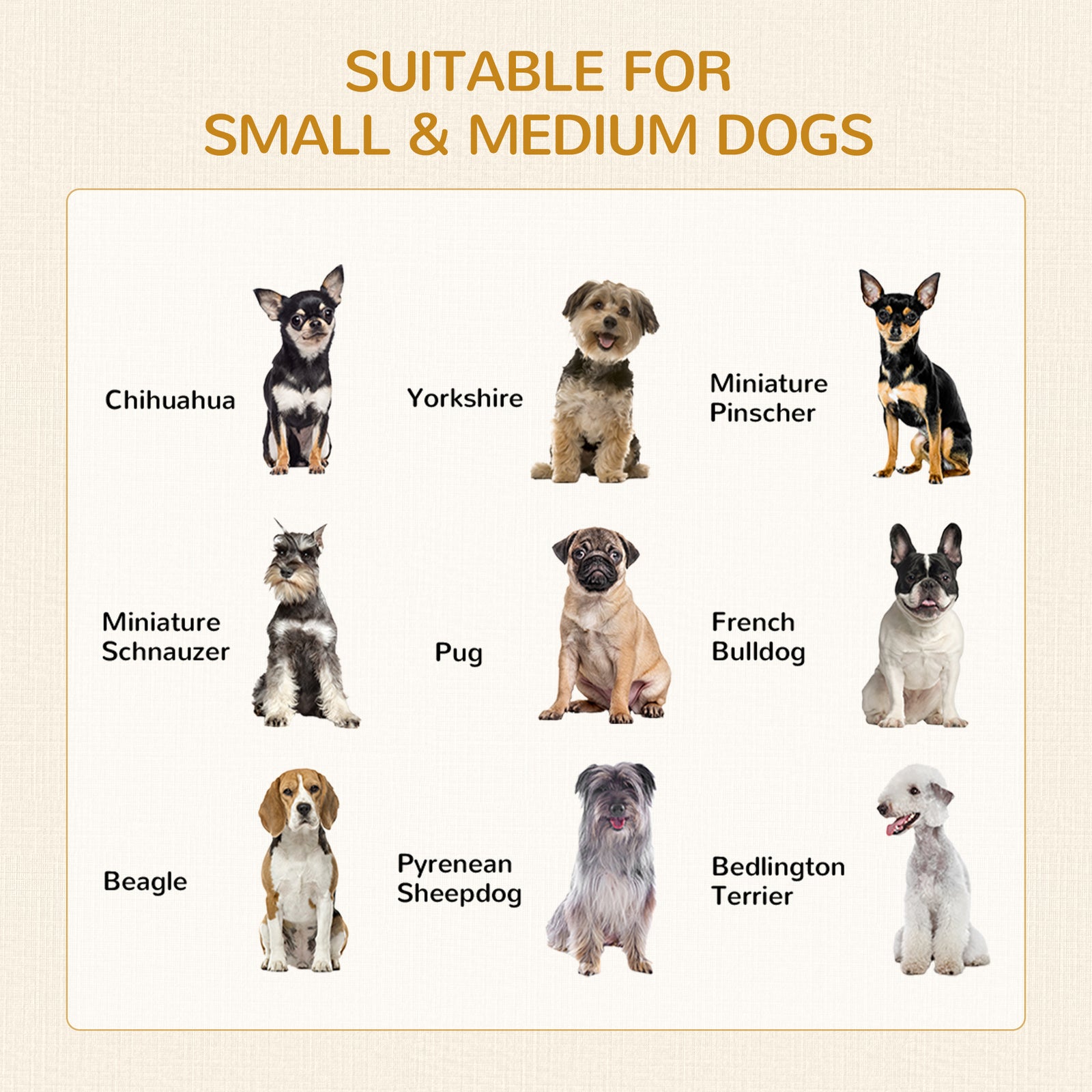 Double-door Dog Furniture Crate - Medium Dogs