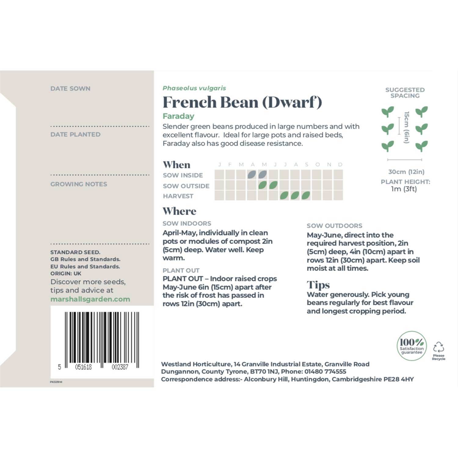 Dwarf French Bean 'faraday' Seeds | 50 Seeds