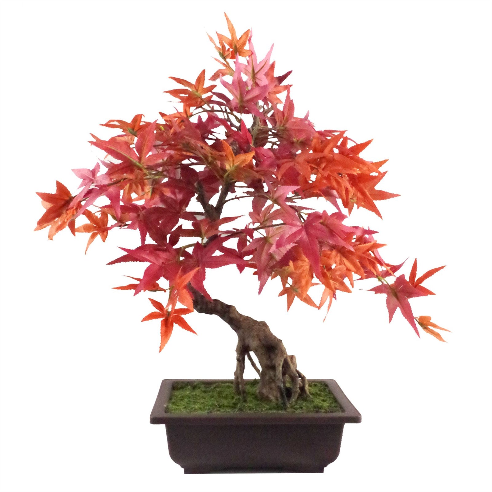Artificial 50cm Red Maple Bonsai Tree