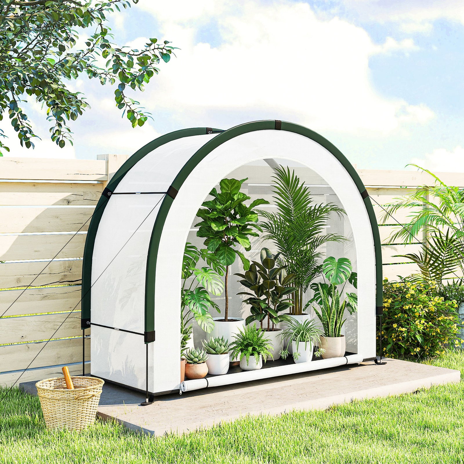Foldable Small Greenhouse, Mini Greenhouse With Pe Base, Green