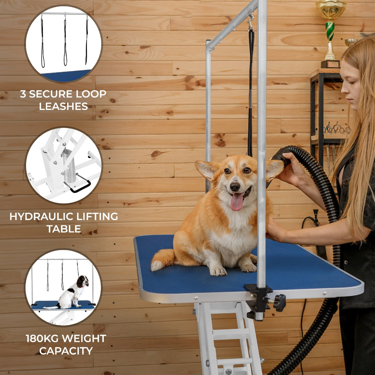 White Hydraulic Grooming Table | Blue