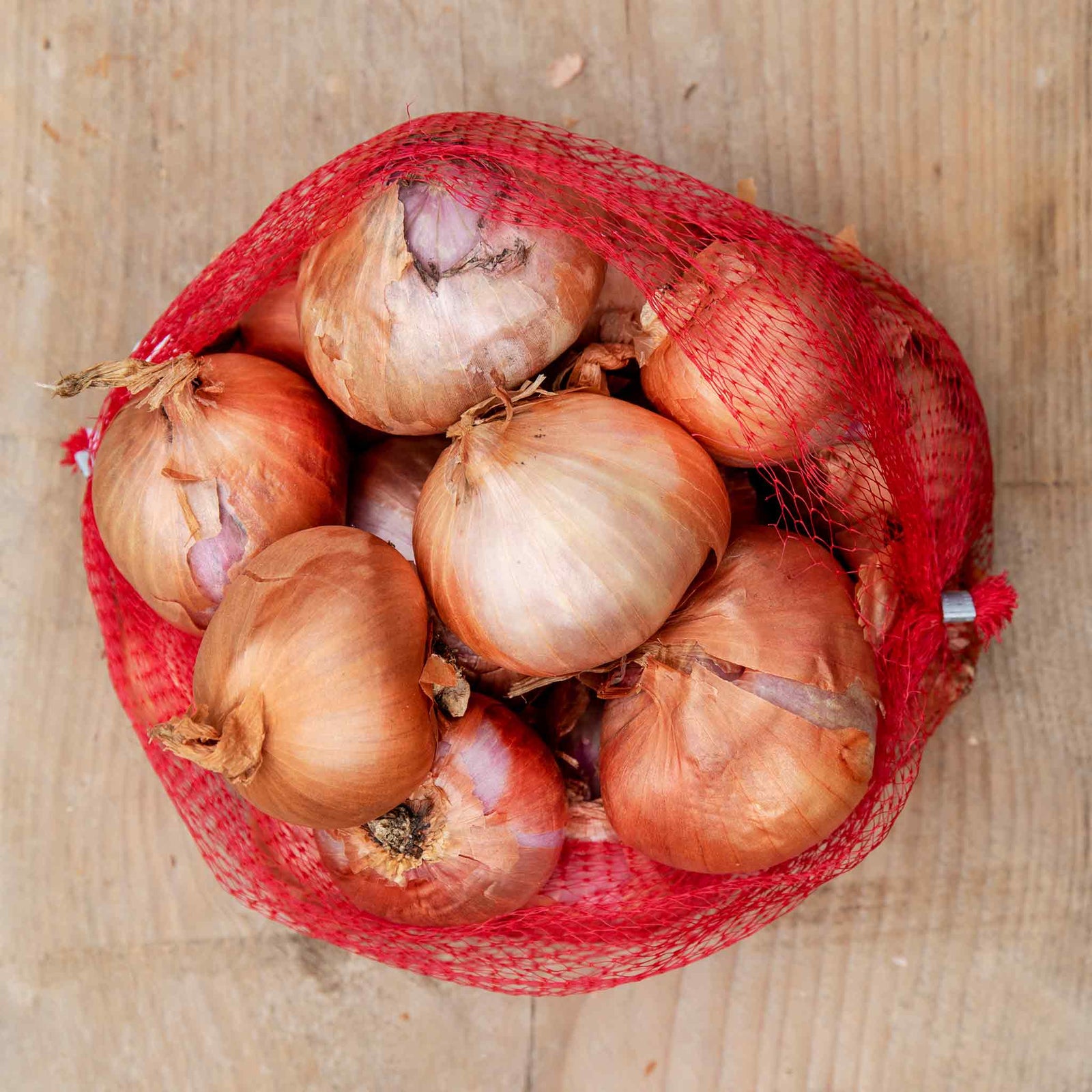 Shallot Sets Red Sun Sets | Set of 15
