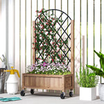 Raised Garden Bed With Metal Trellis