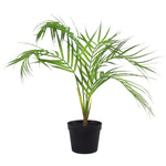 Artificial 50cm Mini Areca Palm
