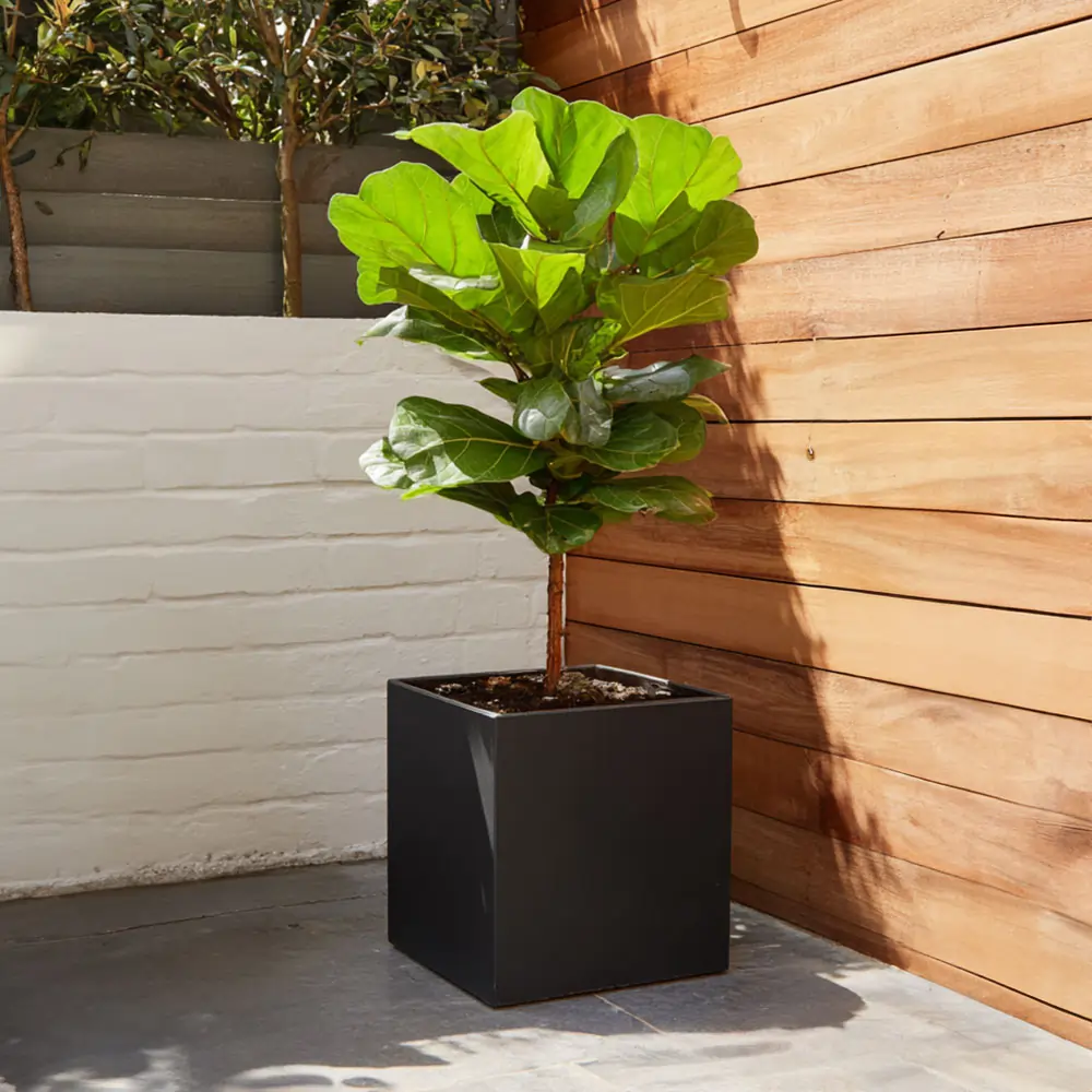 Zinc Galvanised Square Planter | 30cm x 30cm x 30cm | Matte Black