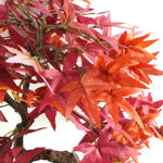 Artificial 50cm Red Maple Bonsai Tree