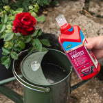 Rose Feed & Protect Duo Pack 2-in-1 Liquid Feed And Black Spot Treatment | Pair