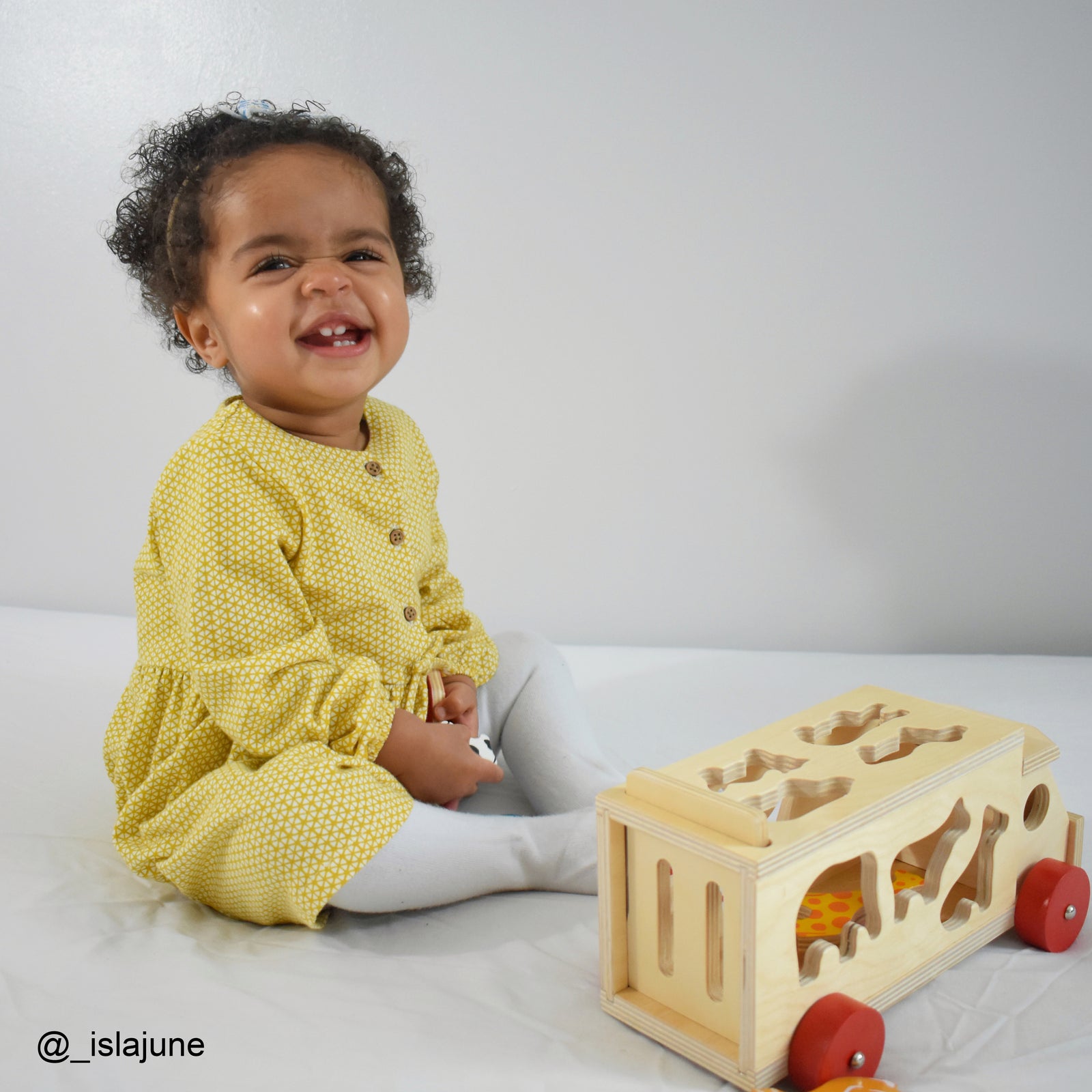 Wooden Pull Along Animal Shape Sorter Lorry