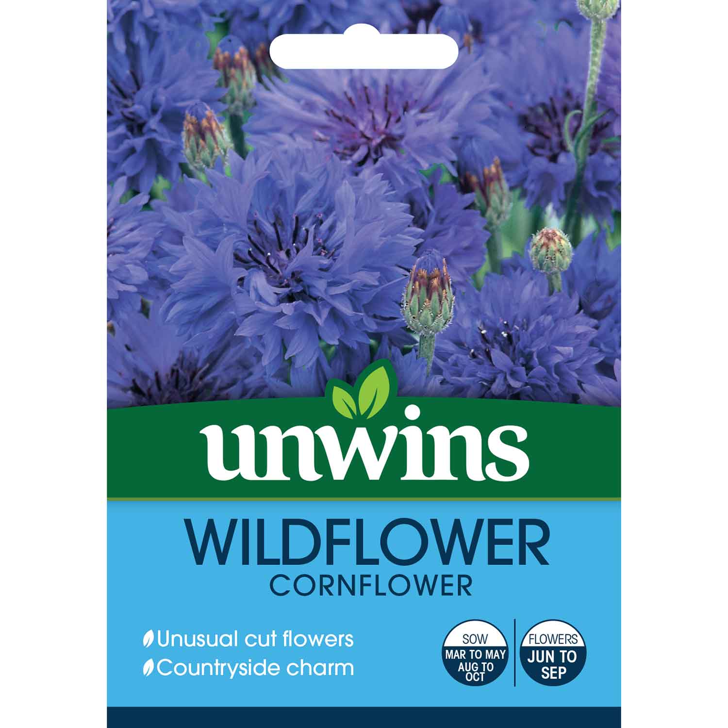 Cornflower Wildflower - Blue, Pollinator-friendly Seeds | 100 Seeds