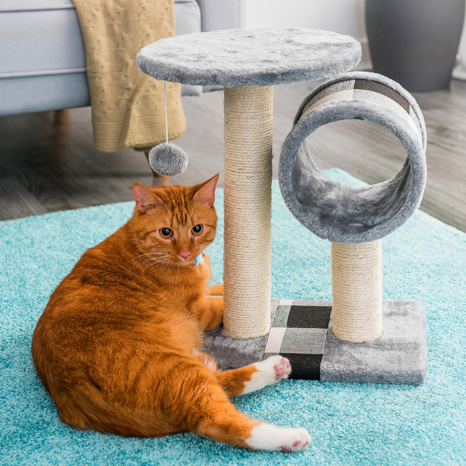 Cat Scratch Post With Bed And Tunnel