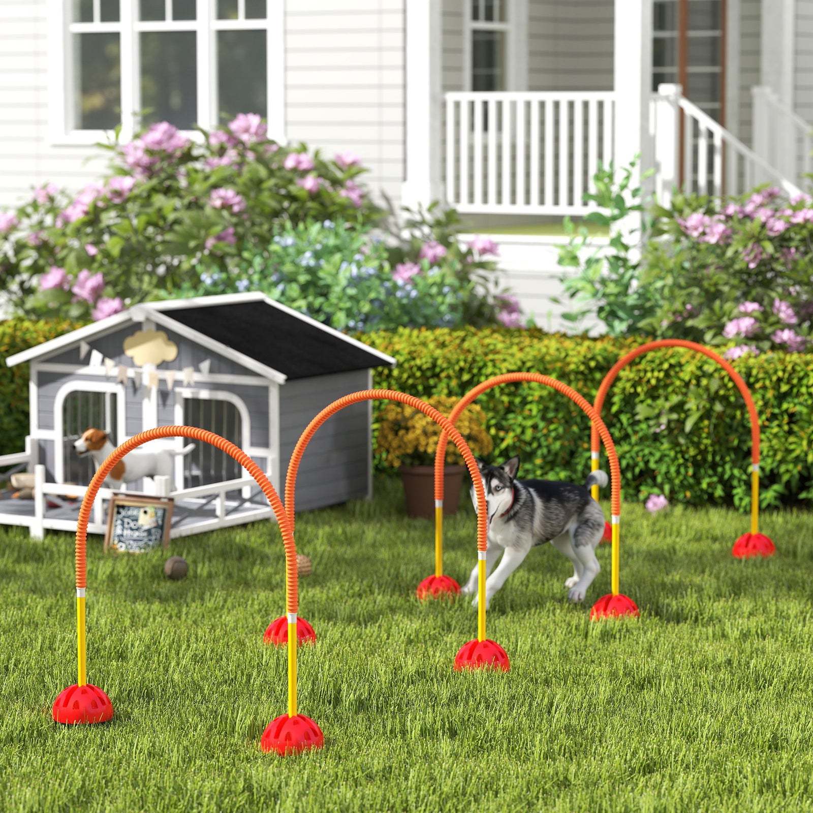 4 Piece Dog Agility Training Equipment With Carry Bag, Orange