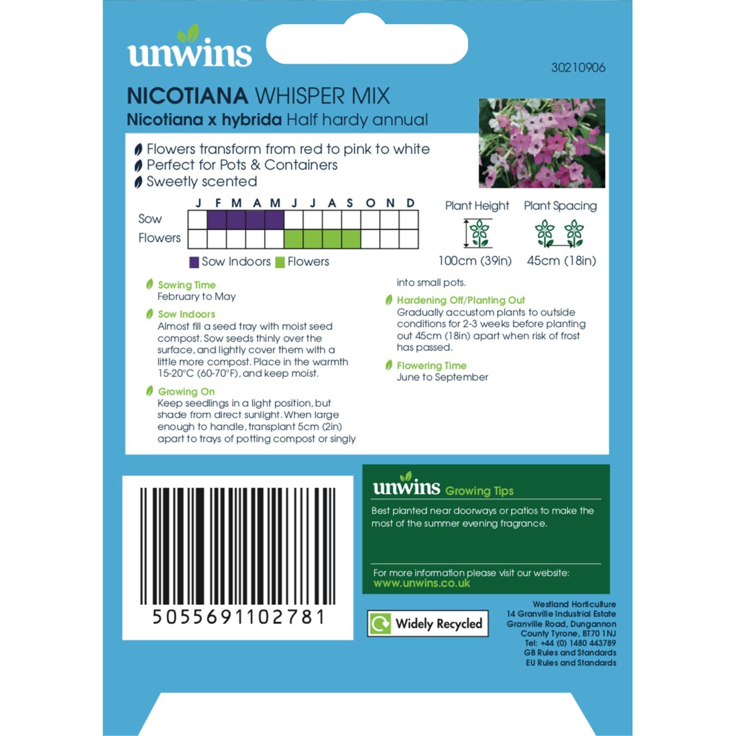 Nicotiana 'whisper Mix' Seeds | 50 Seeds
