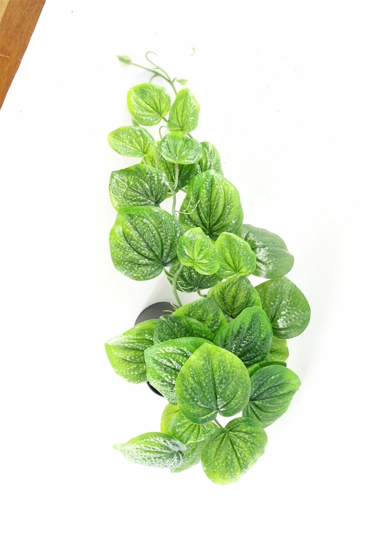 35cm Artificial Trailing Natural Look Potted Pothos Plant Realistic