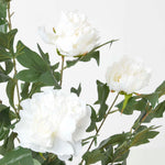 Artificial Peony Tree In Black Pot, 100 Cm Tall | 100cm | Beige