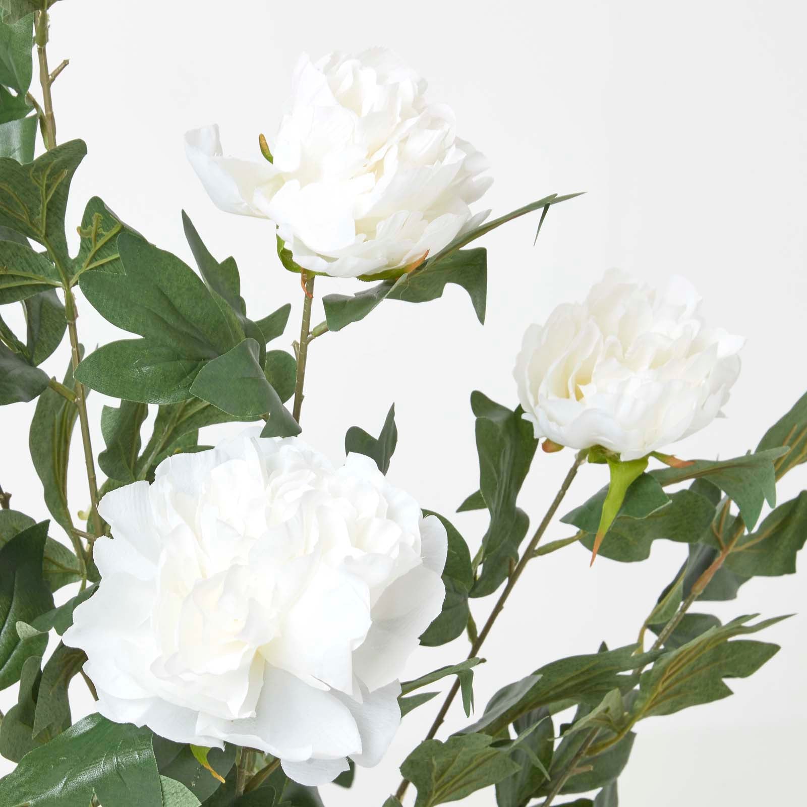 Artificial Peony Tree In Black Pot, 100 Cm Tall | 100cm | Beige