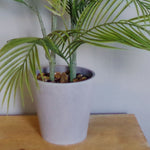 Artificial 90cm Palm Tree Potted In Decorative Planter