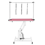 White Hydraulic Grooming Table | Pink