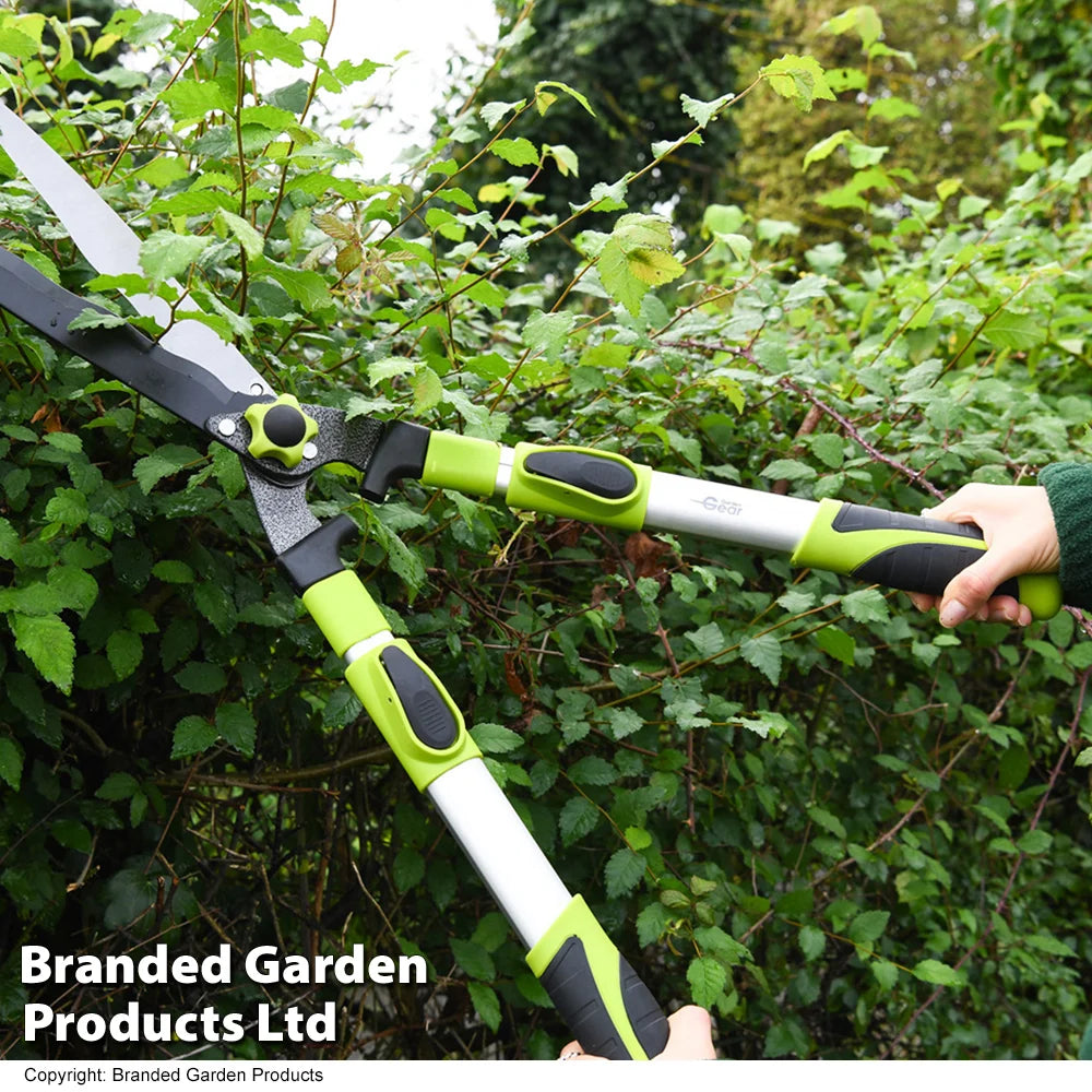 Telescopic Long Reach Hedge Shears