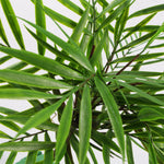 6 X 40cm Artificial Bamboo Palm Bush Plant