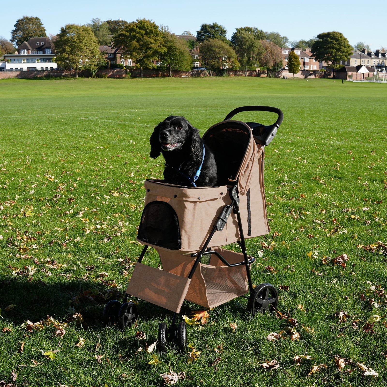 Pet Stroller With Rain Cover | Beige
